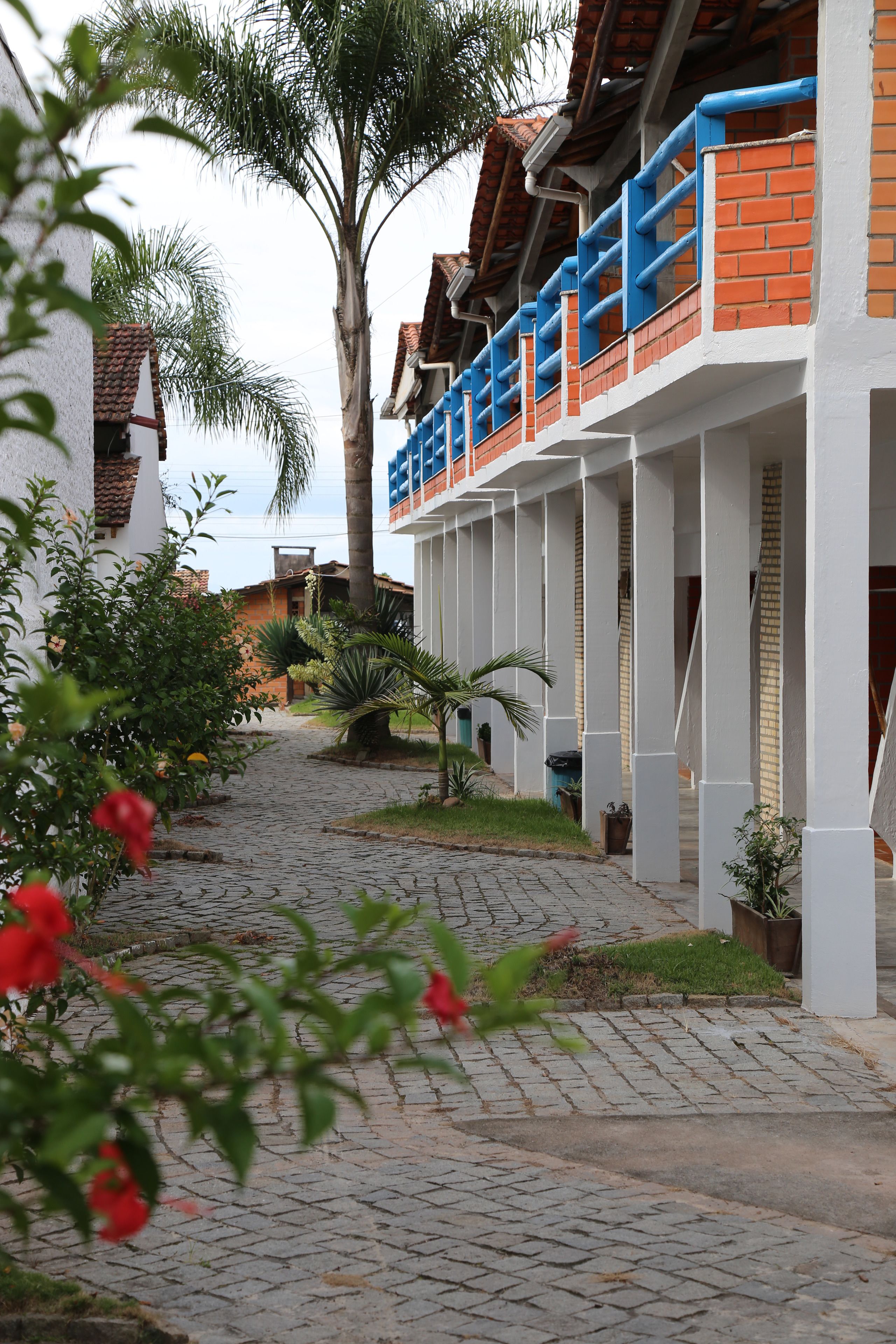 A courtyard with a cobblestone path, palm trees, and a building with blue railings and brickwork.