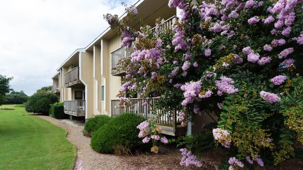 A building with a beige exterior, a gravel pathway, and a well-maintained lawn. - Sea Scape Beach and Golf Villas (Kitty Hawk)