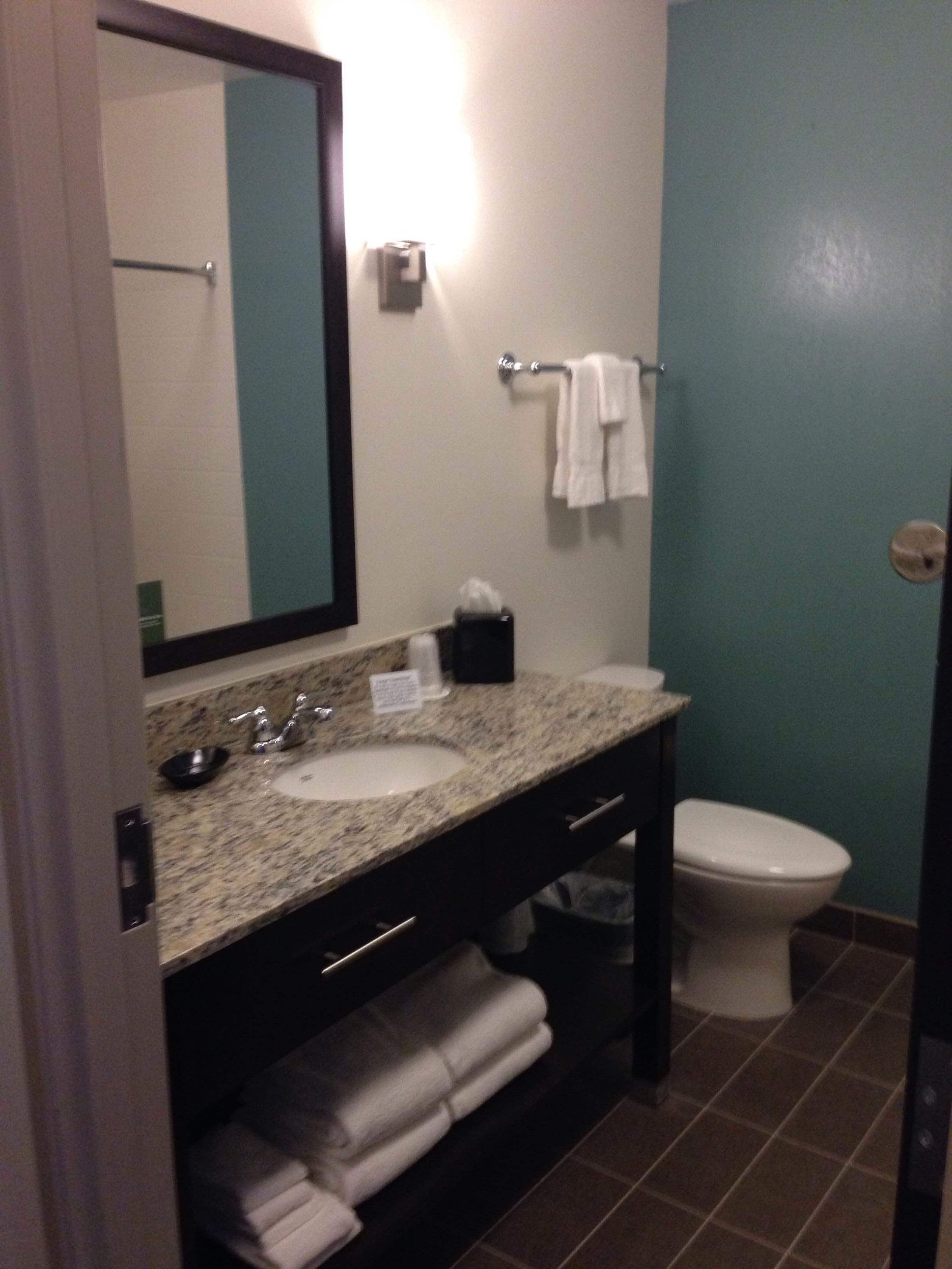 combined shower/bathtub, free toiletries, hair dryer, towels