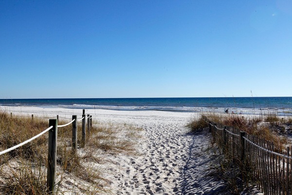 Vista desde la propiedad