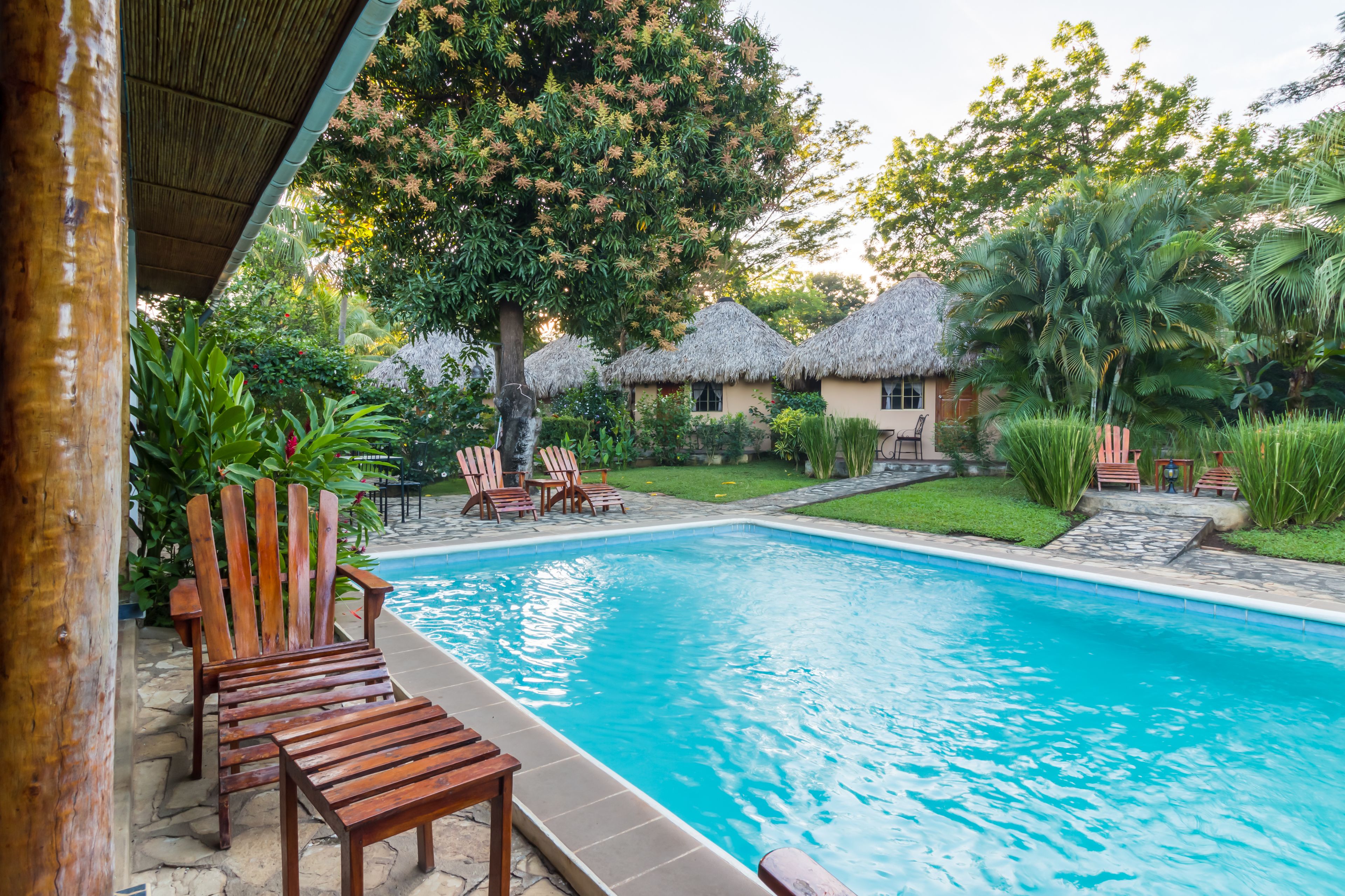 Outdoor pool, sun loungers