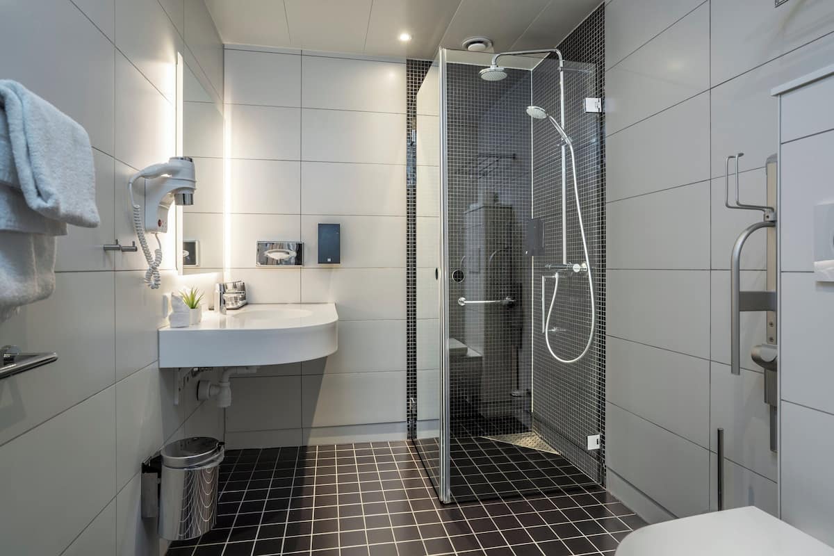 shower, free toiletries, hair dryer, towels