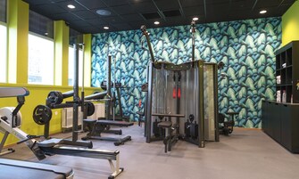 Un gimnasio con equipo de ejercicio variado, incluyendo una máquina de remo, un banco de pesas y una estructura para sentadillas.