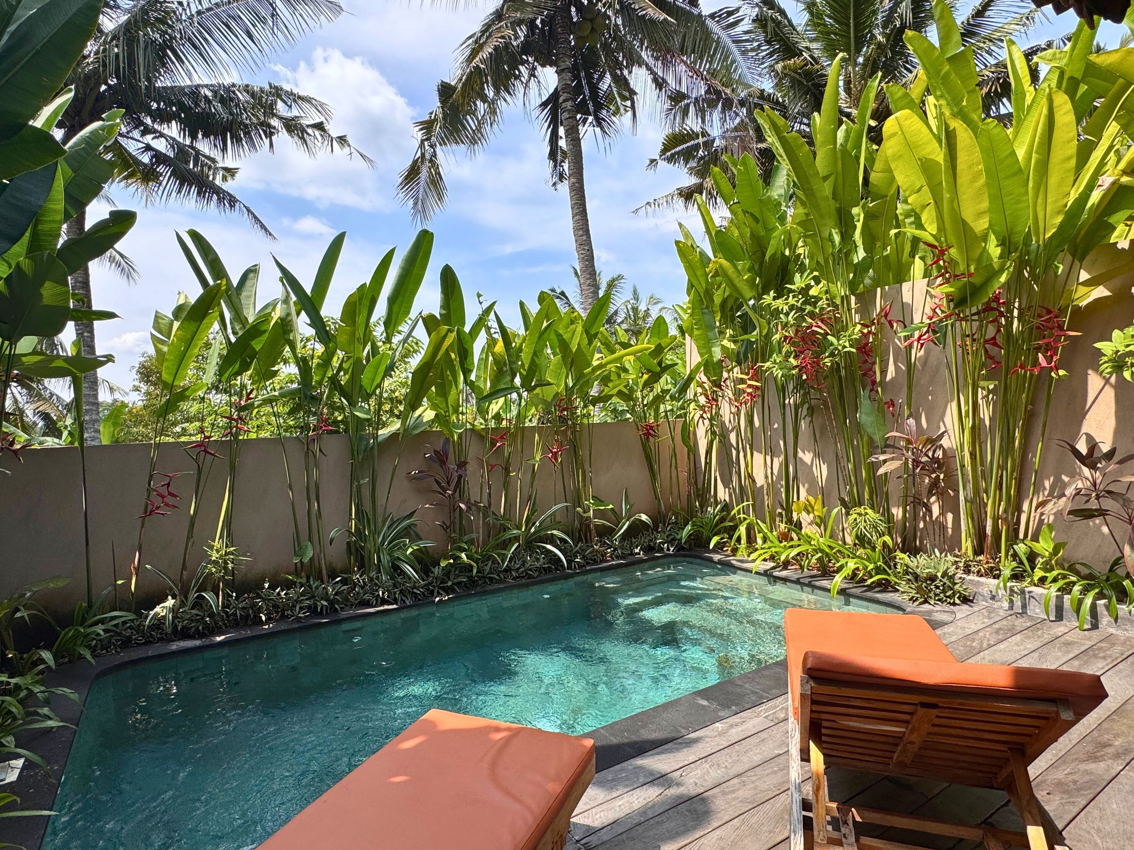 Una piscina rodeada de plantas tropicales y palmeras, con sillones de madera y una pared de concreto al fondo.