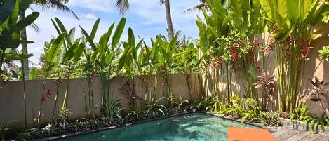 Una piscina rodeada de plantas tropicales y palmeras, con sillones de madera y una pared de concreto al fondo.