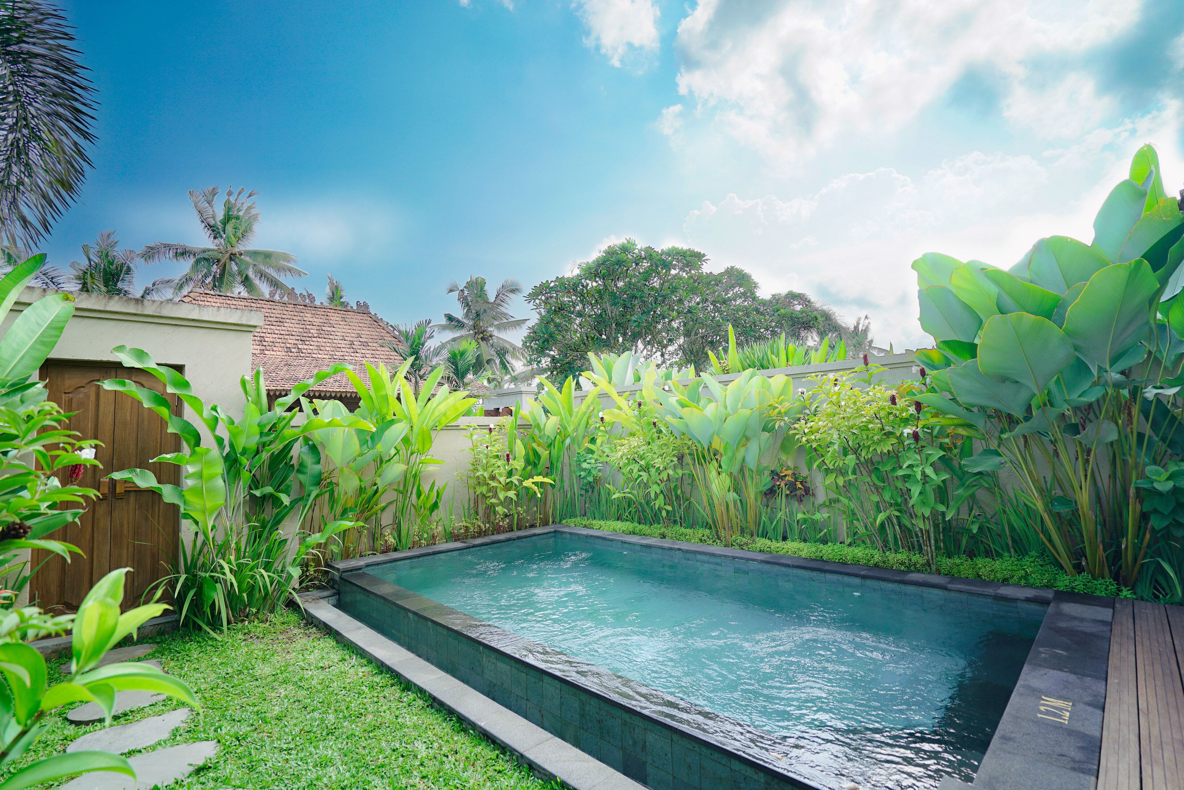 A rectangular swimming pool with a tiled edge, surrounded by lush greenery and a wooden deck.