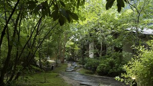 A stone pathway leading through a lush garden with dense foliage and a traditional building in the background. - Tsuetate Keiryu no Yado Daishizen (Oguni)