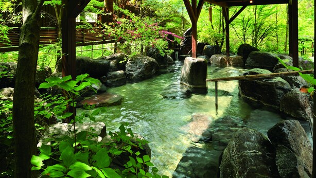 A traditional Japanese garden with a clear stream, large rocks, and lush greenery. - Tsuetate Keiryu no Yado Daishizen (Oguni)