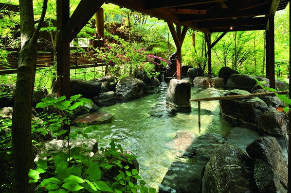 Spa - Tsuetate Keiryu no Yado Daishizen (Oguni)