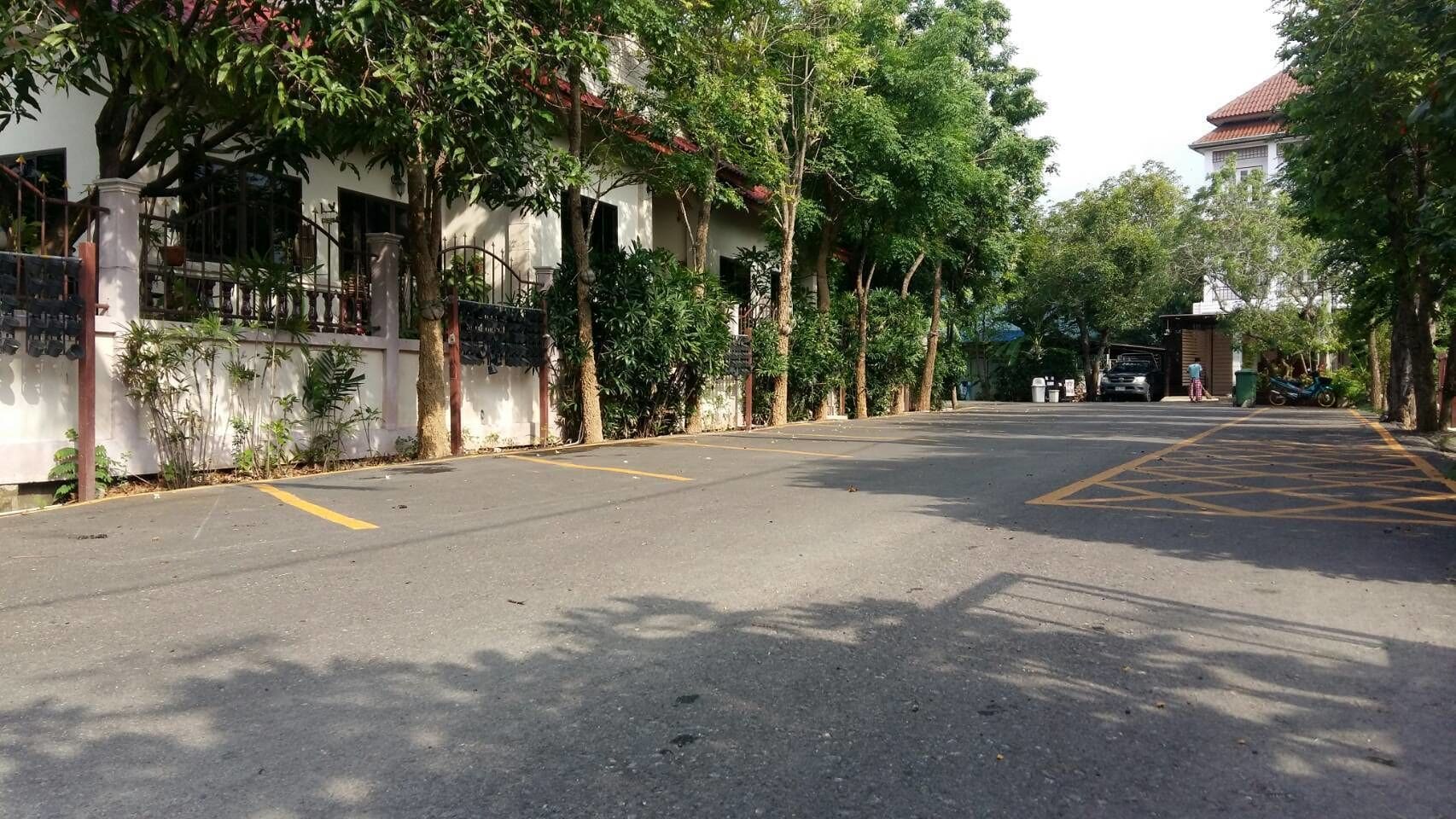 A quiet street with trees and a parked car.