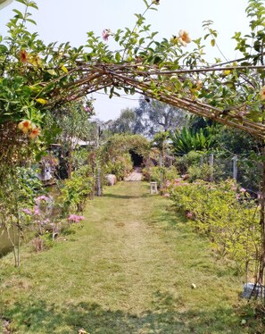 Garden - Baanbon Homestay (Amphawa)