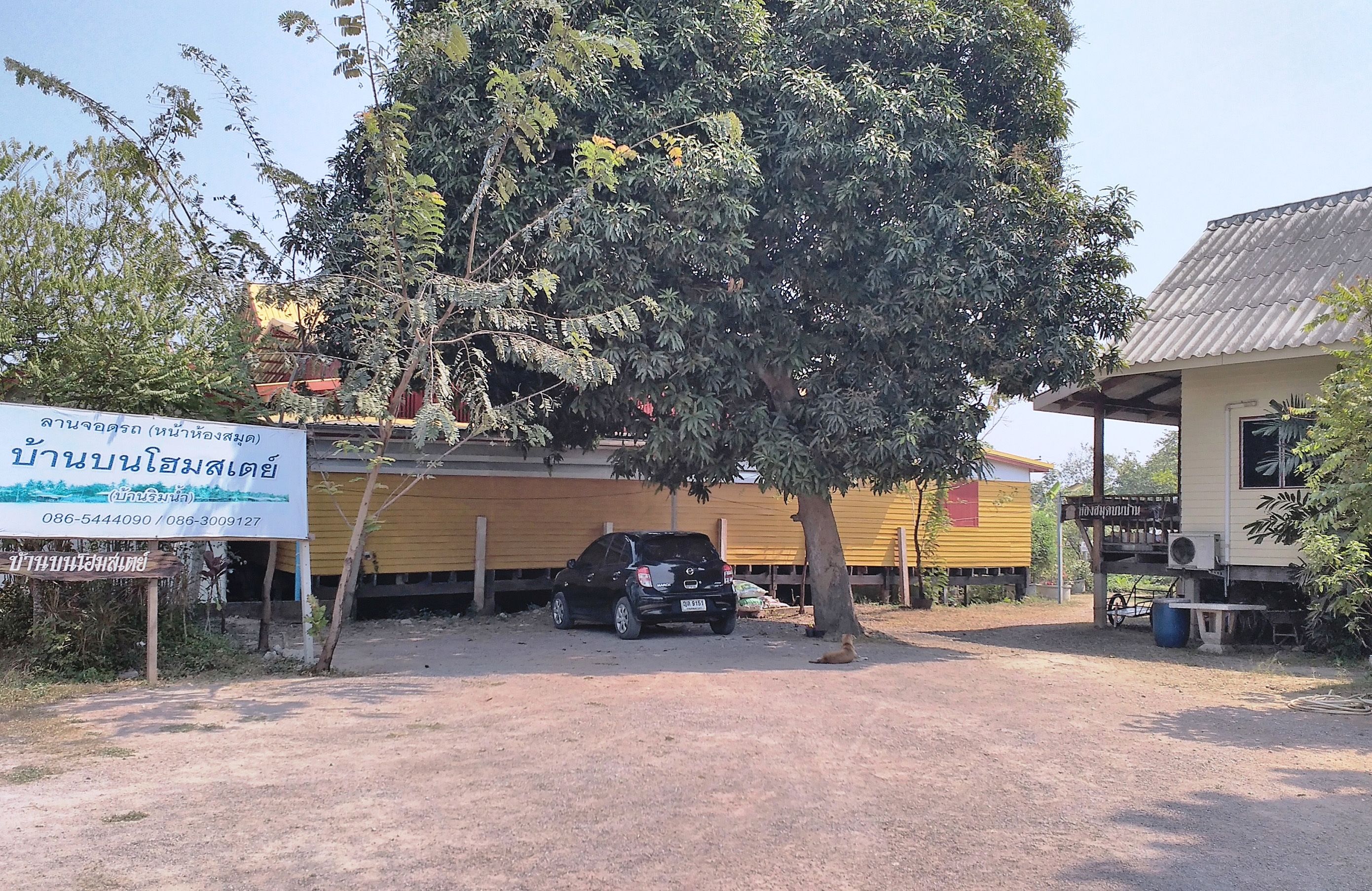 A building with a signboard, a parked car, and a tree in front.