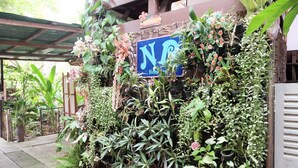 A vertical garden with a variety of plants and a sign that reads "NO Home Away From Home". - NR Homestay (Amphawa)