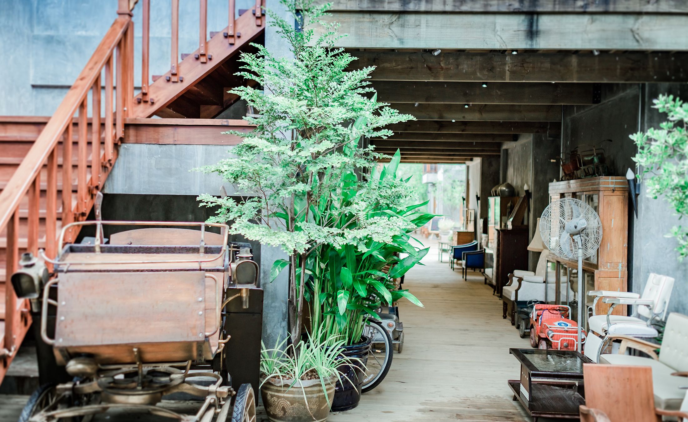 A narrow corridor with vintage bicycles, a wooden cart, and various potted plants.
