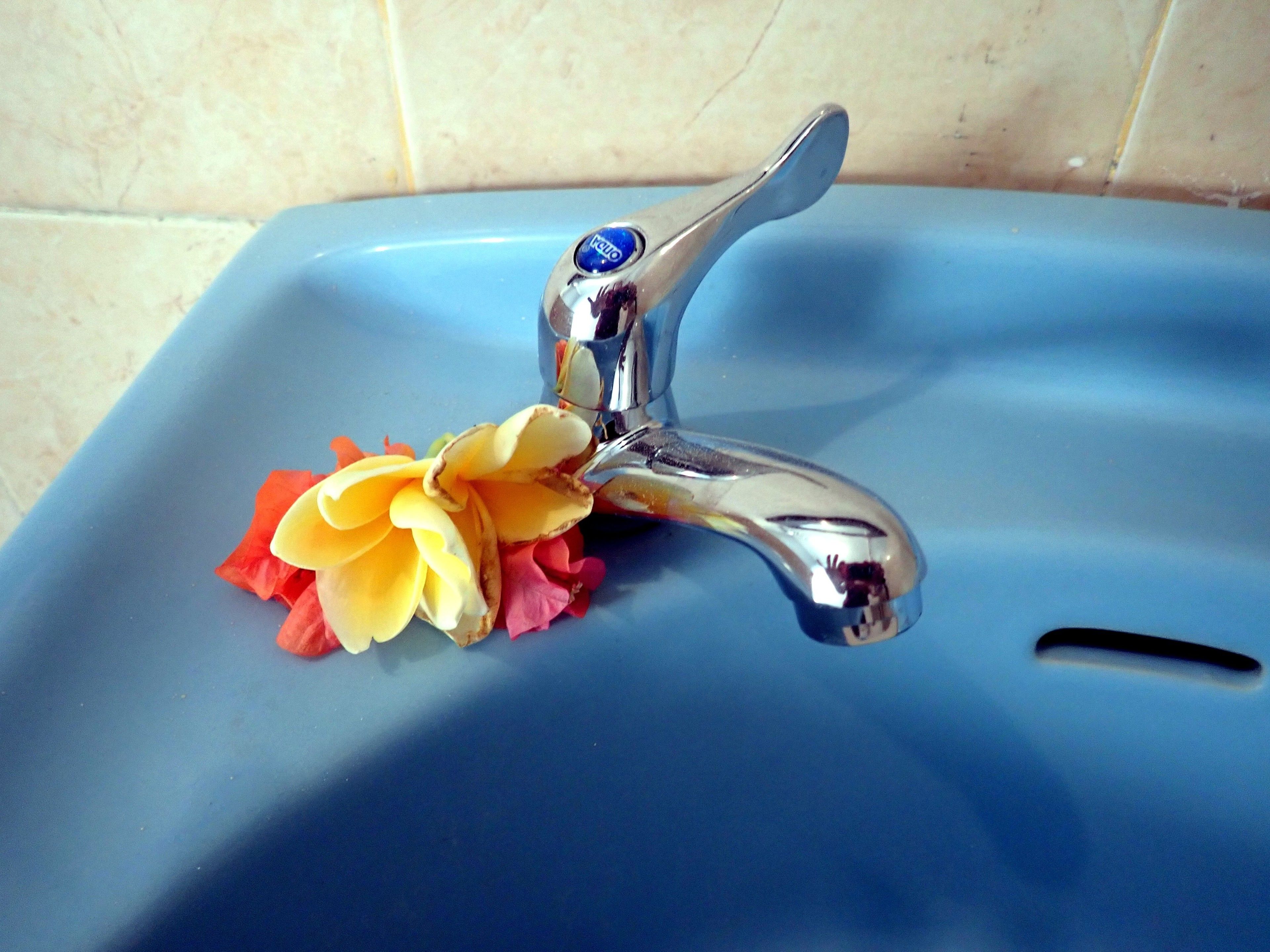 standard bamboo #7, double room (without hot water) | bathroom sink