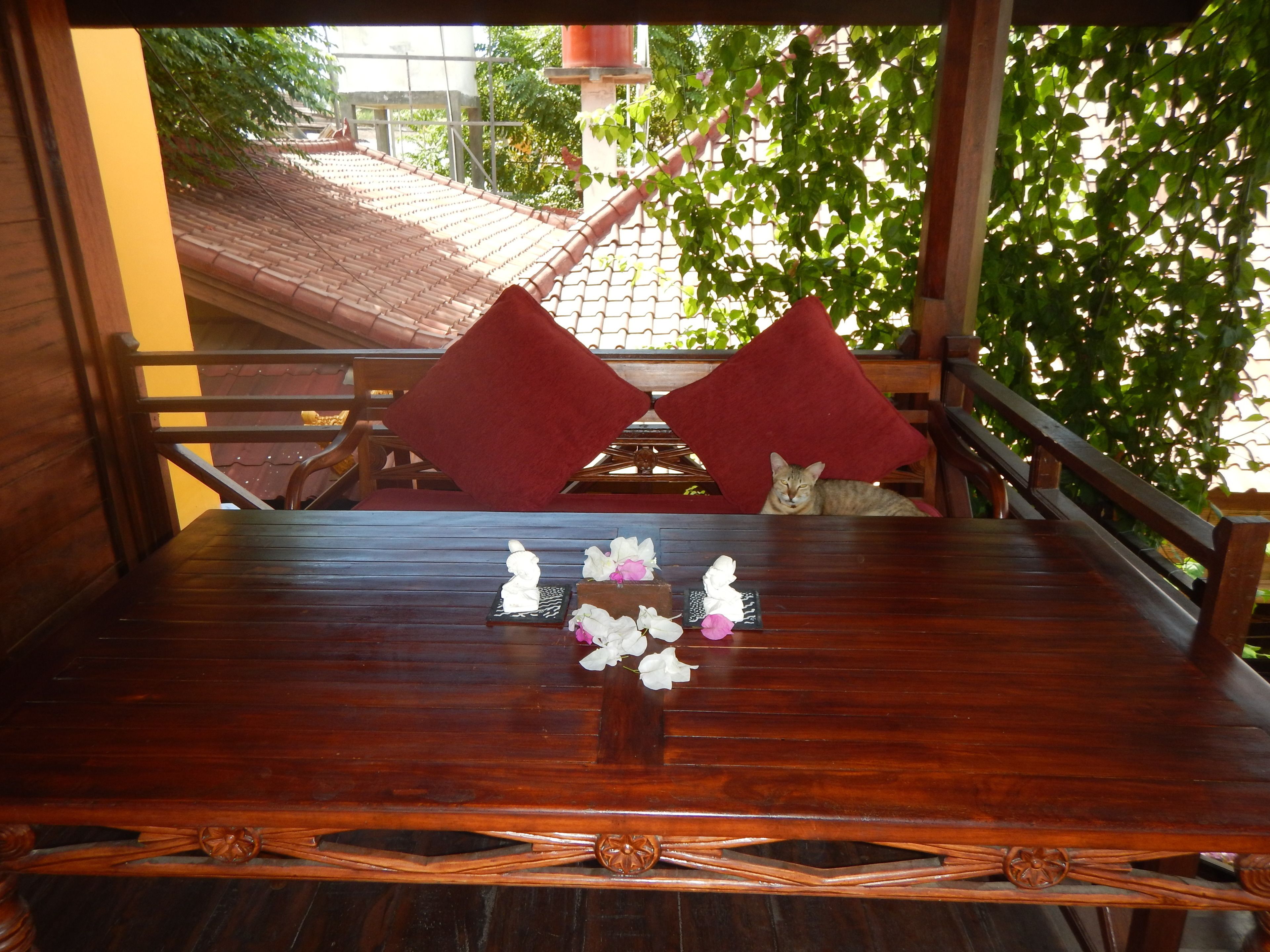 treetop traditional #3, double room (hot water) | balcony