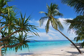 Een strand met helder turquoise water, palmbomen en een boot in het zand.