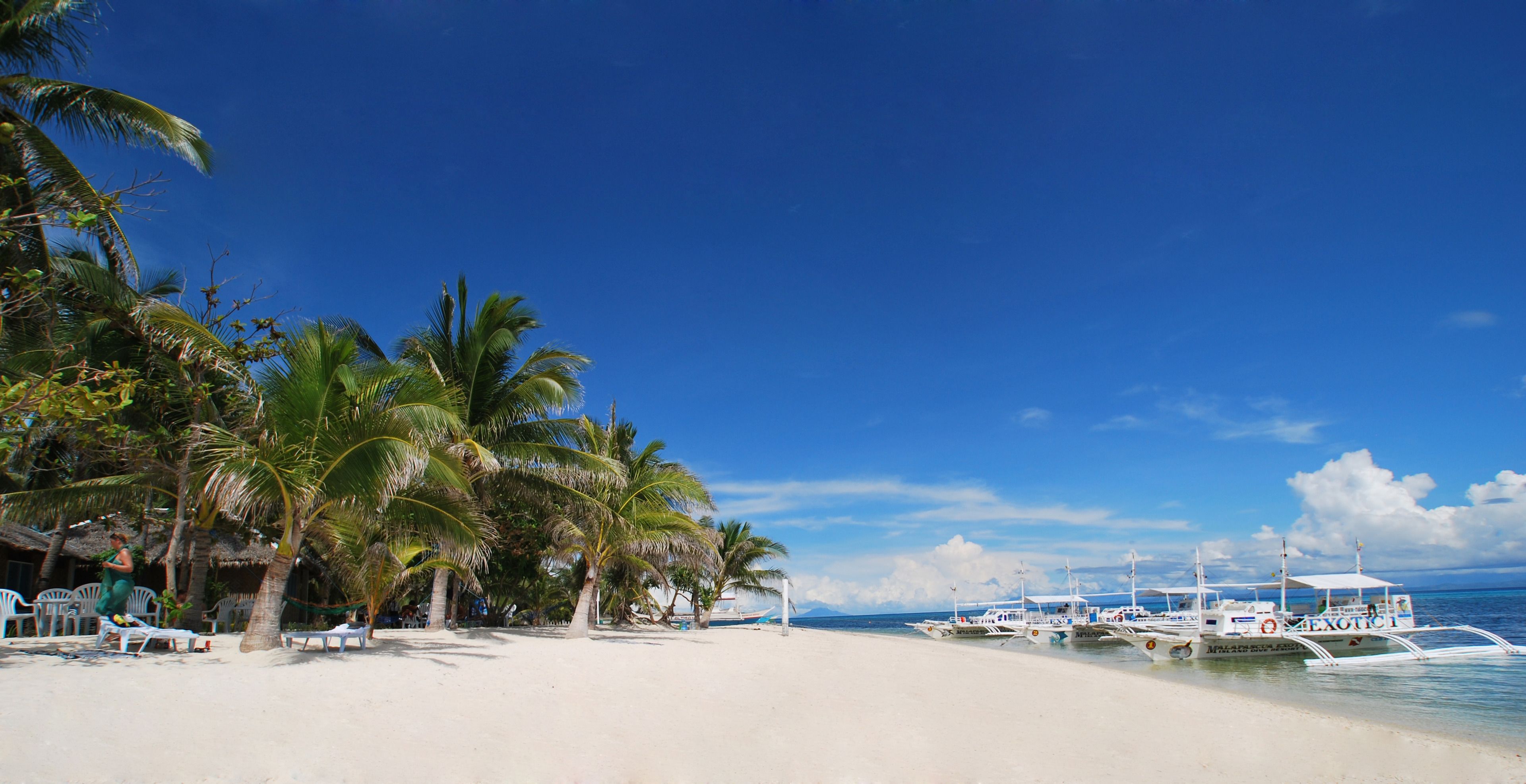 A beach with palm trees and boats.