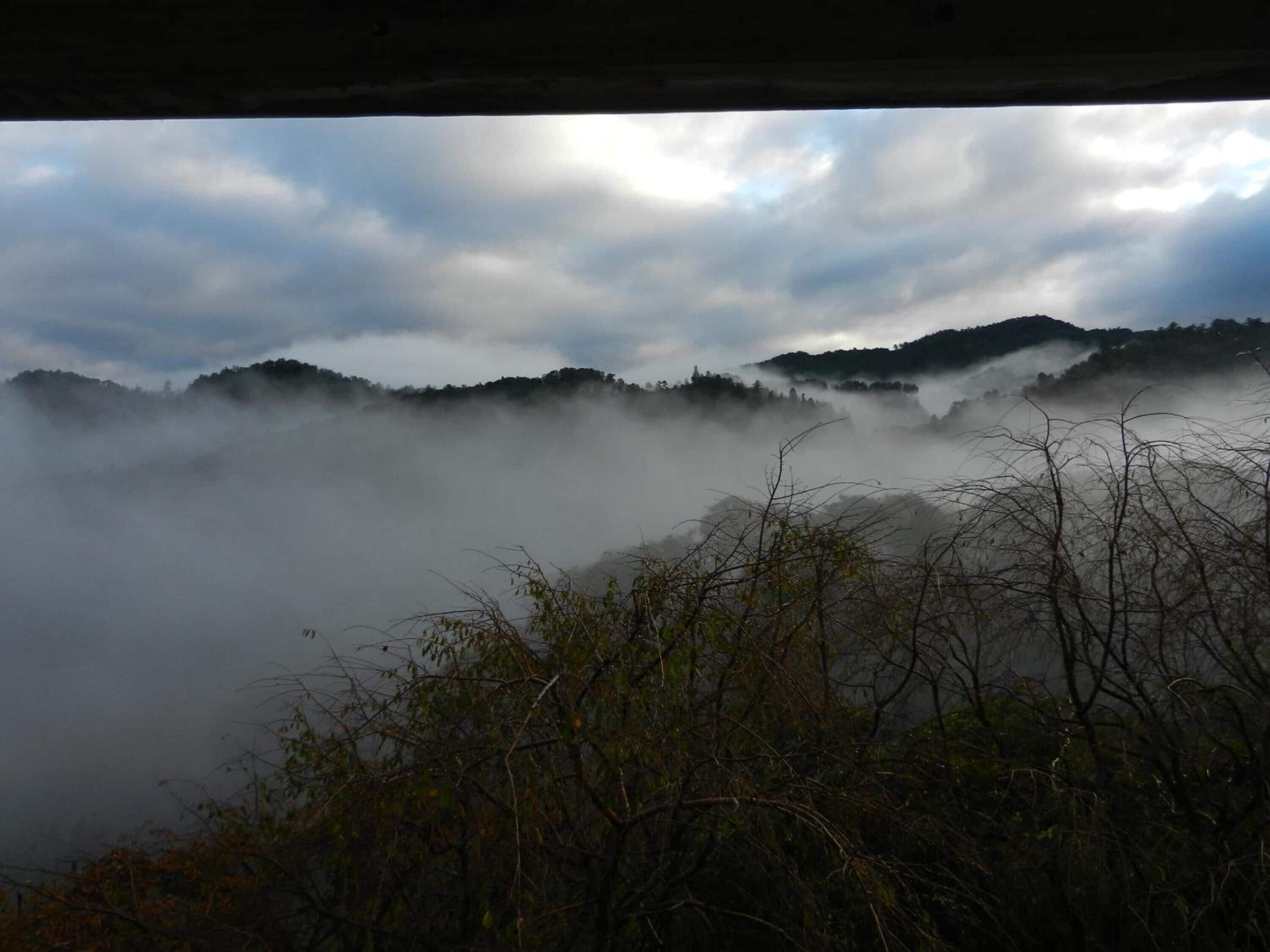 A misty landscape with hills and trees under a cloudy sky.