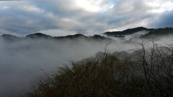 A misty landscape with hills and trees under a cloudy sky.