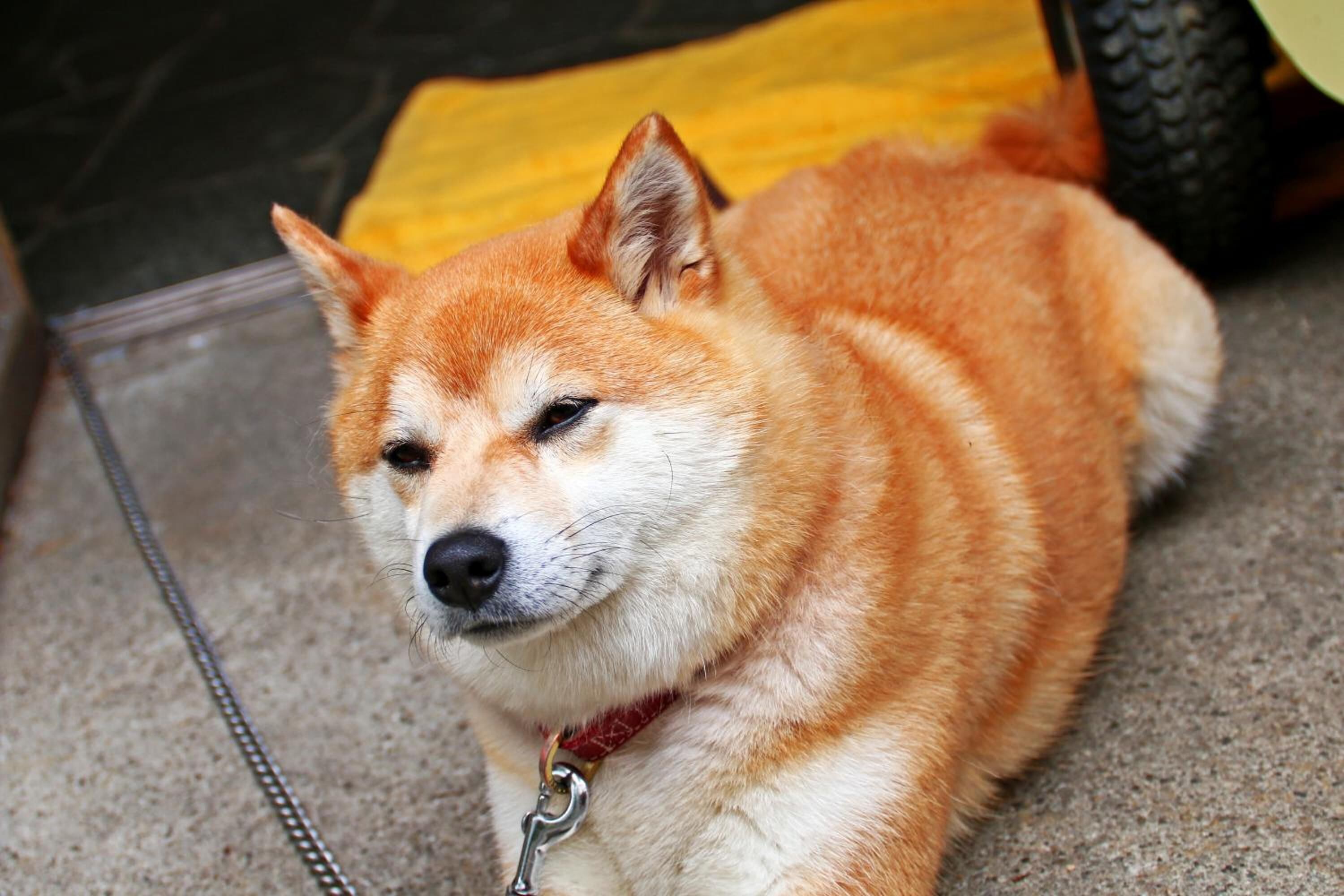 レストラン