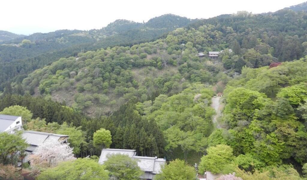 Une maison traditionnelle japonaise, nichée sur une colline verdoyante et boisée, avec un chemin dégagé menant à elle.