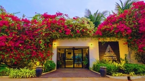 A hotel entrance with a glass door, surrounded by vibrant bougainvillea flowers and palm trees. - Ladear Privilege Rooms (Siem Reap)