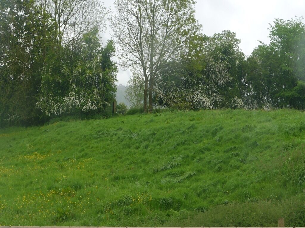 Un campo cubierto de hierba con árboles y una valla.