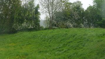 Un campo cubierto de hierba con árboles y una valla.