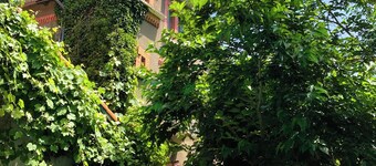 Maison Esmeralda