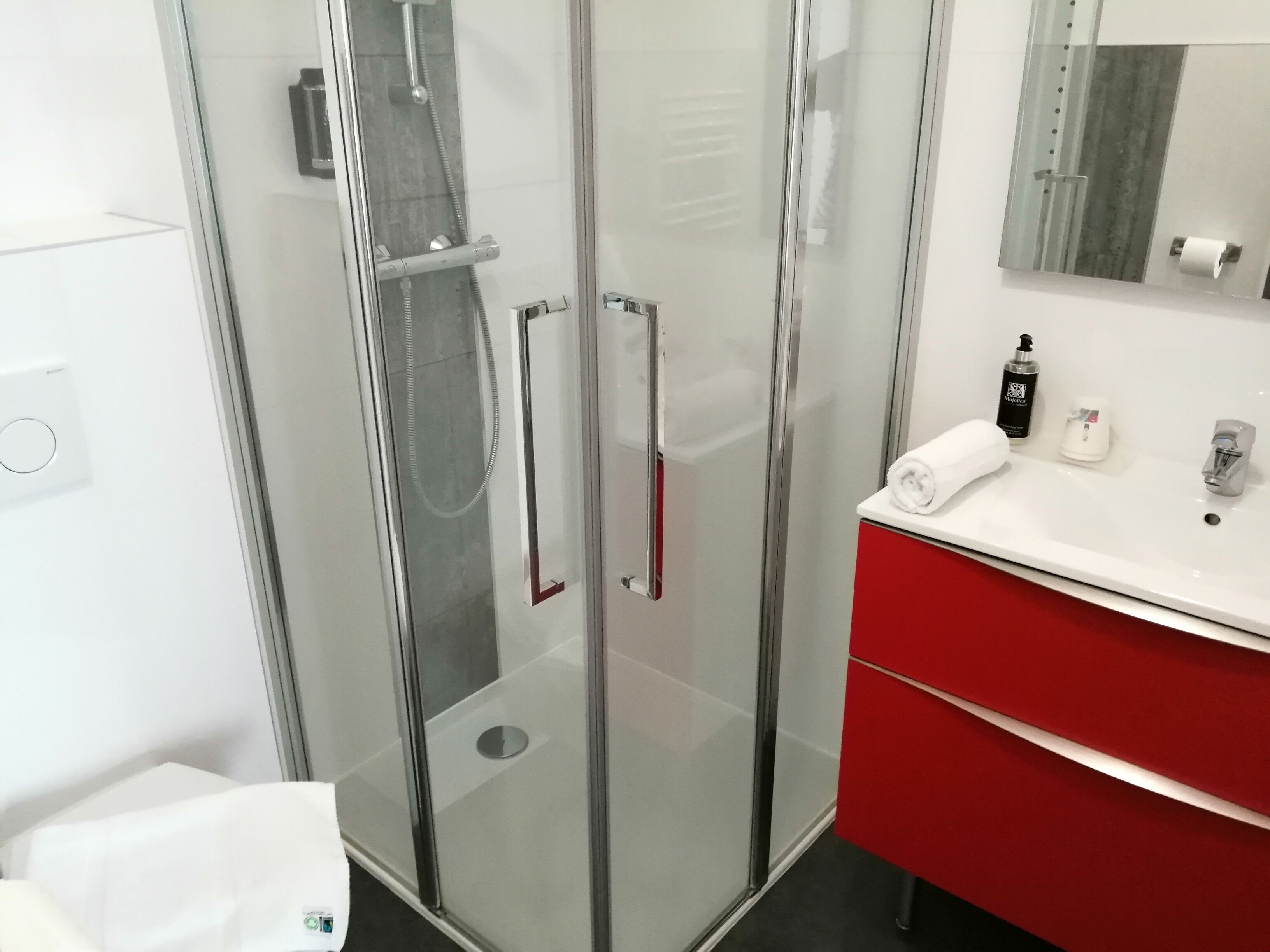 superior double room | bathroom shower