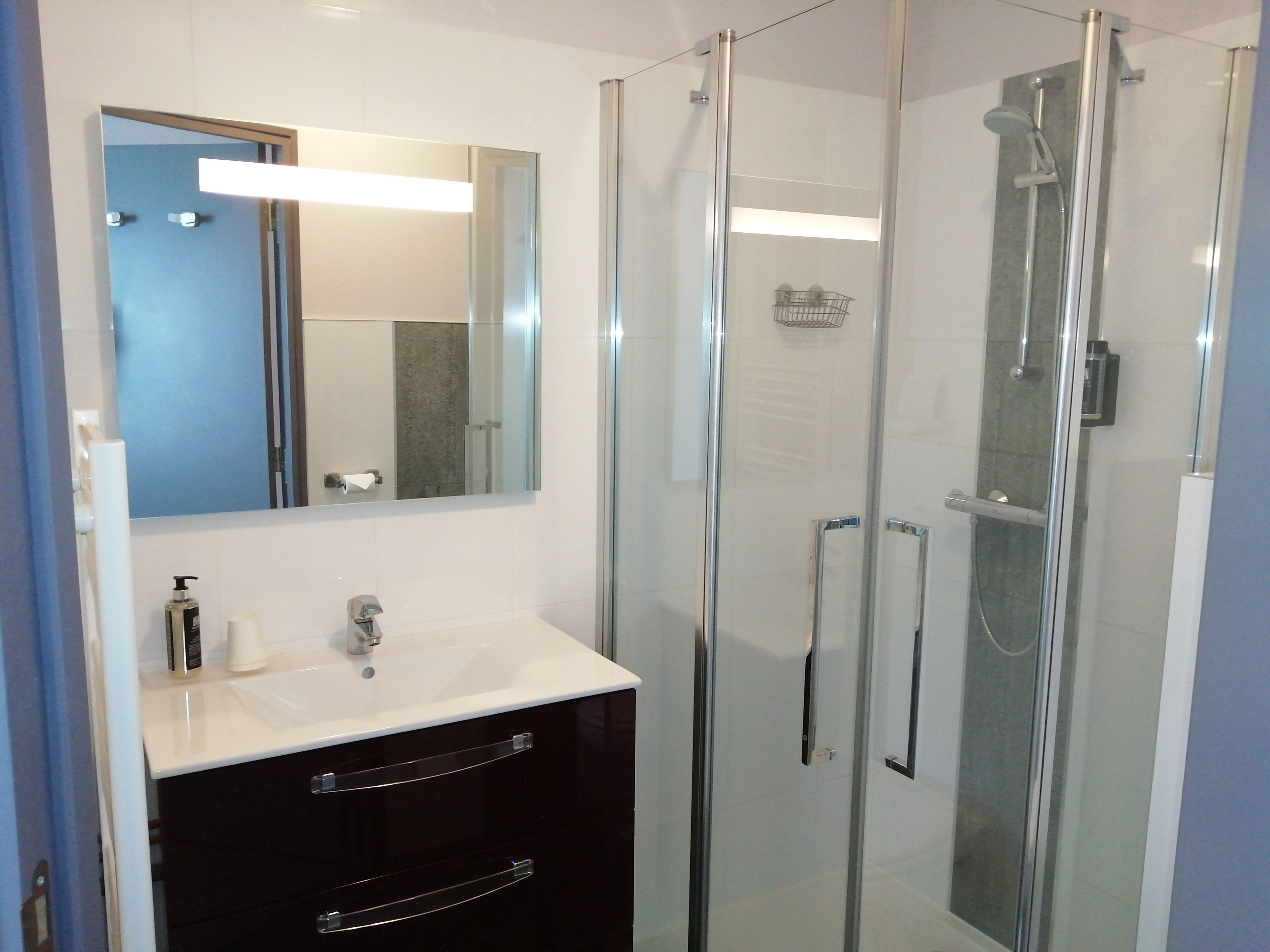 standard double room | bathroom shower