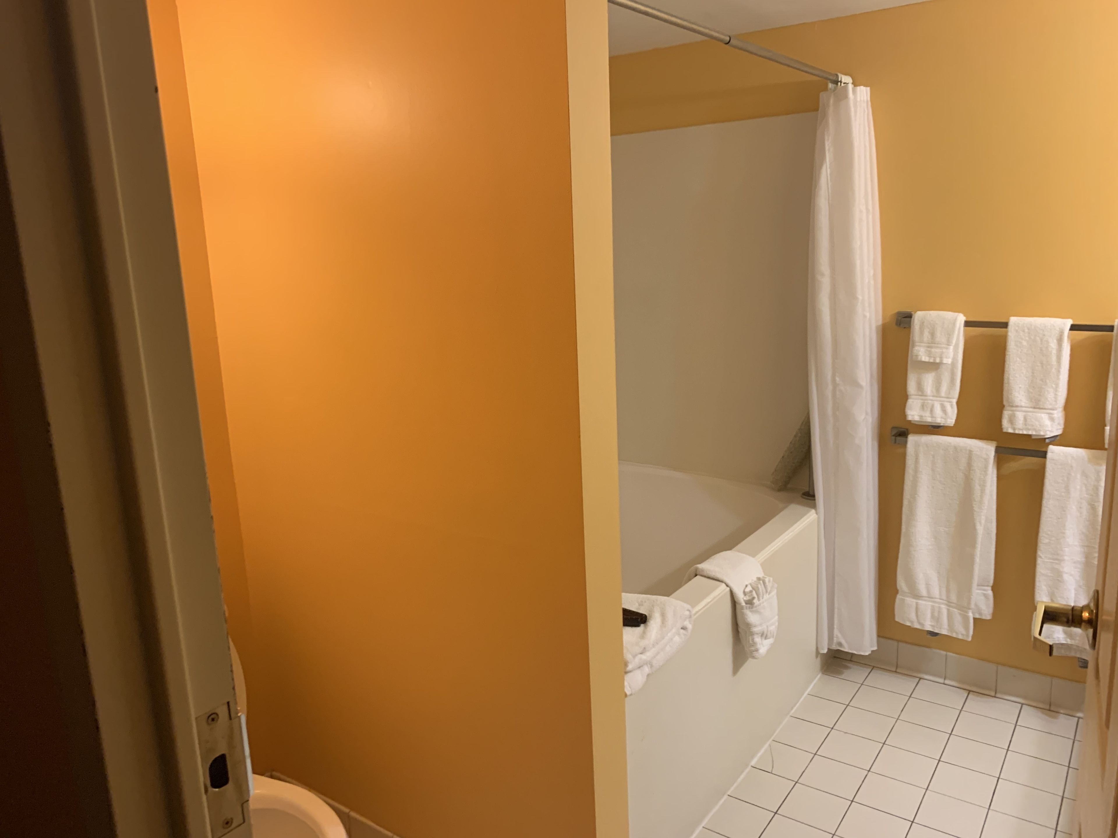 standard room, 1 king bed, river view | bathroom | combined shower/bathtub, free toiletries, hair dryer, towels