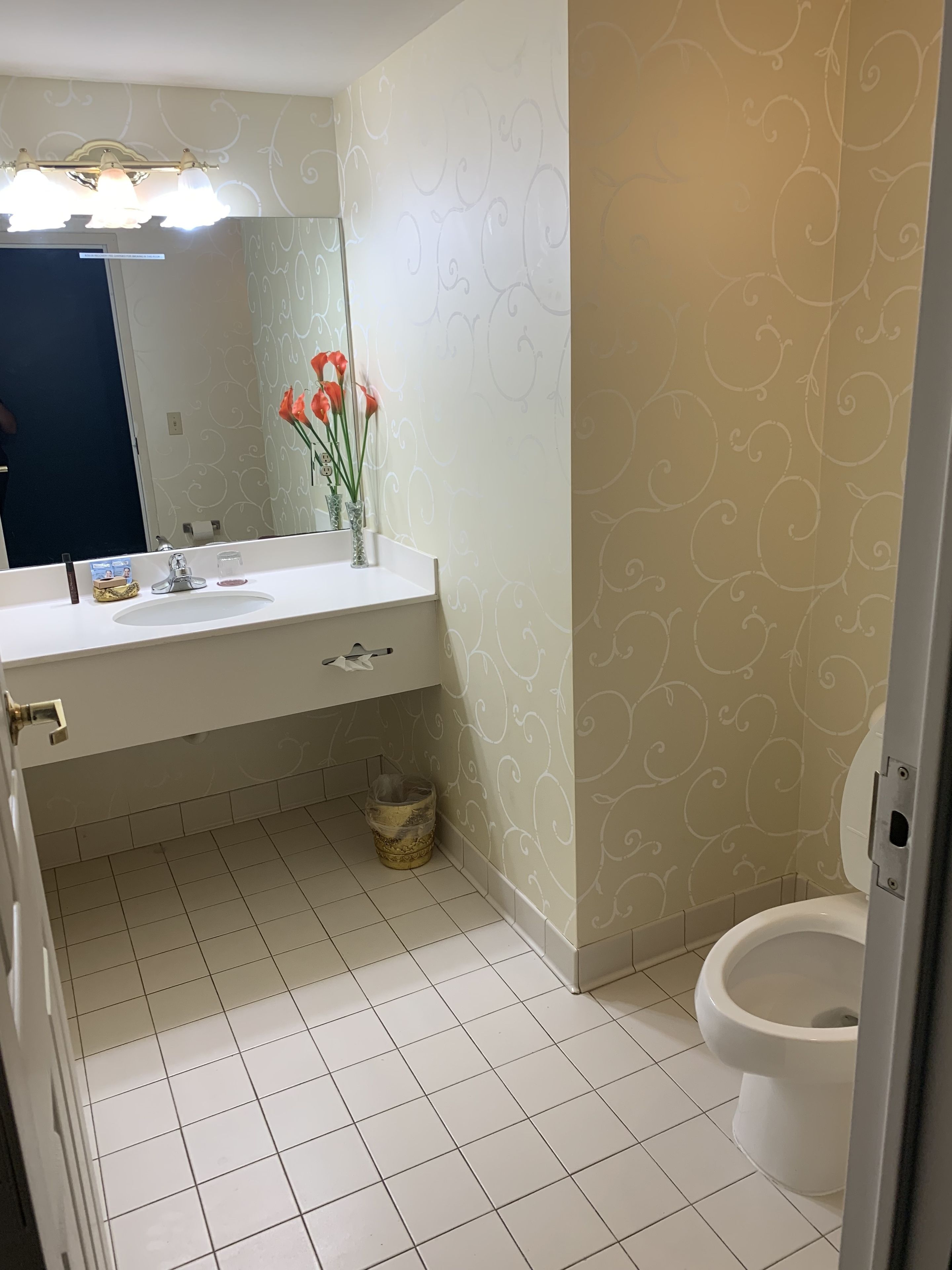 deluxe suite, 1 bedroom, river view | bathroom | combined shower/bathtub, free toiletries, hair dryer, towels