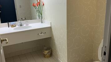 Un bagno con lavandino bianco, specchio e water. C'è un cestino sotto il lavandino e un vaso decorativo con fiori sul lavandino.
