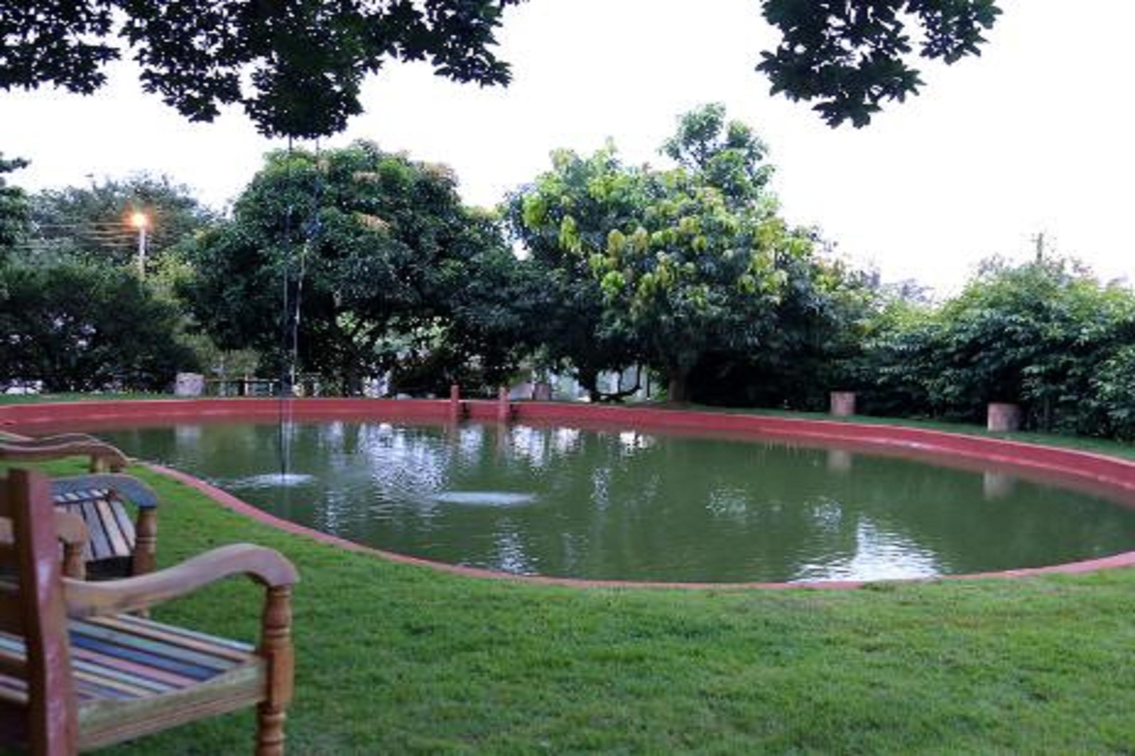Un parque con un estanque, un banco de madera y árboles.