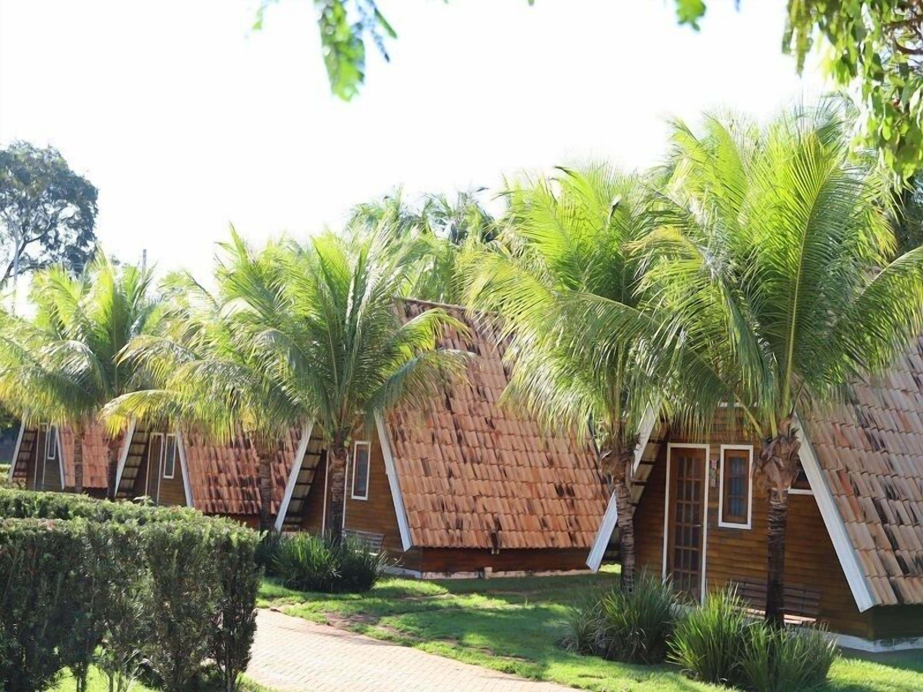 A row of thatched-roof cottages with palm trees in the foreground.