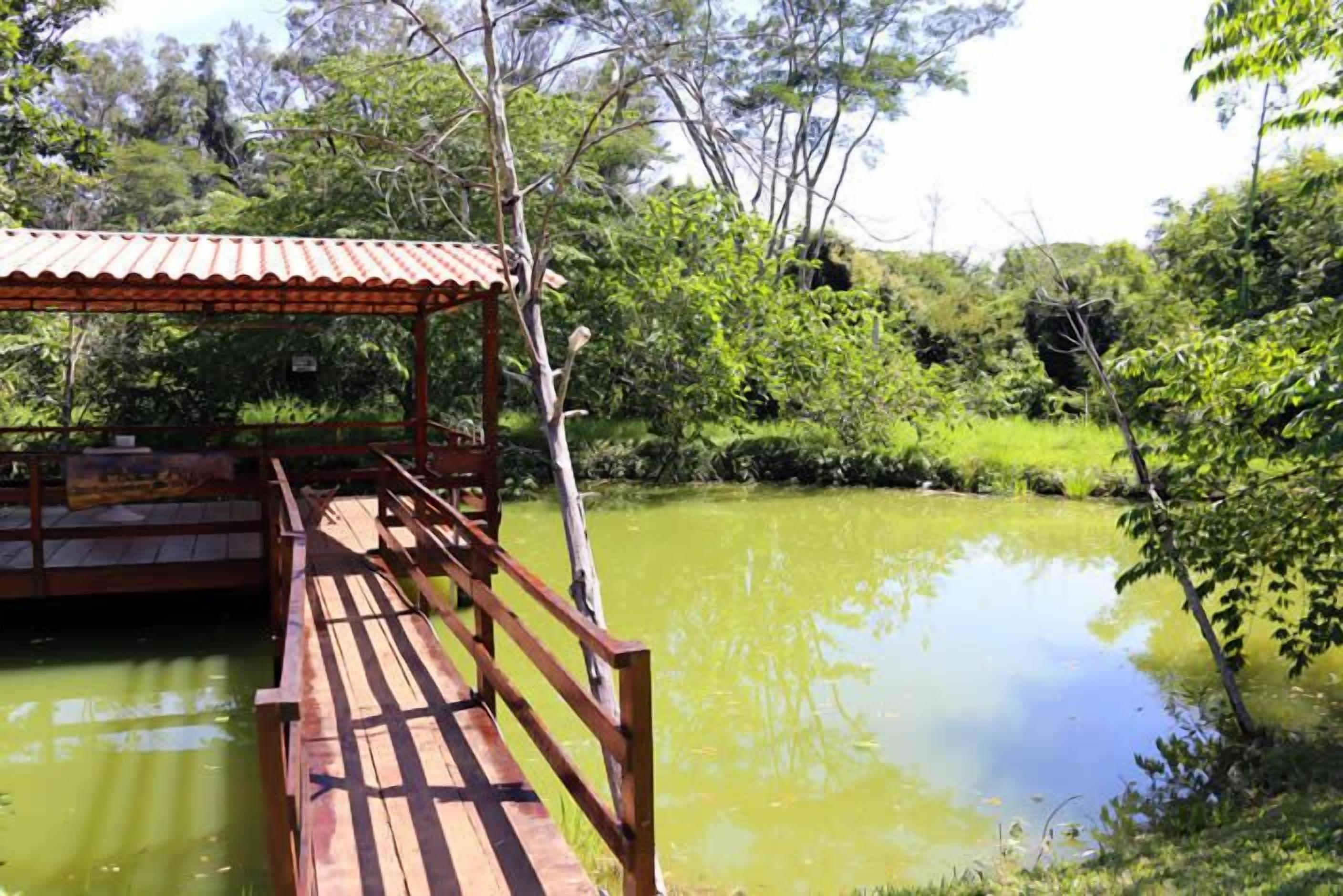 Uma ponte de madeira sobre um lago, com uma área coberta à esquerda.