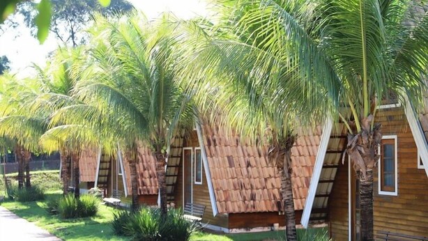 A row of wooden cabins with thatched roofs, surrounded by lush greenery and palm trees. - Pousada Monte Carlo (Olímpia)