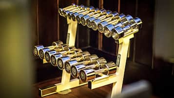 A metal rack holding several dumbbells.