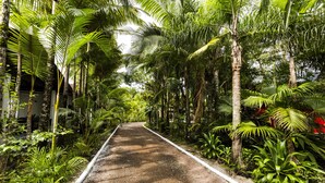 Un sentier bordé d’une végétation tropicale luxuriante, qui mène à un bâtiment.
