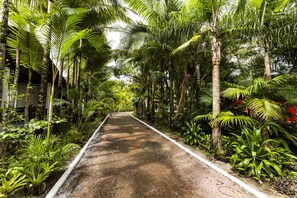 Hiking - Pousada de Pesca e Lazer Camury (Garuva)