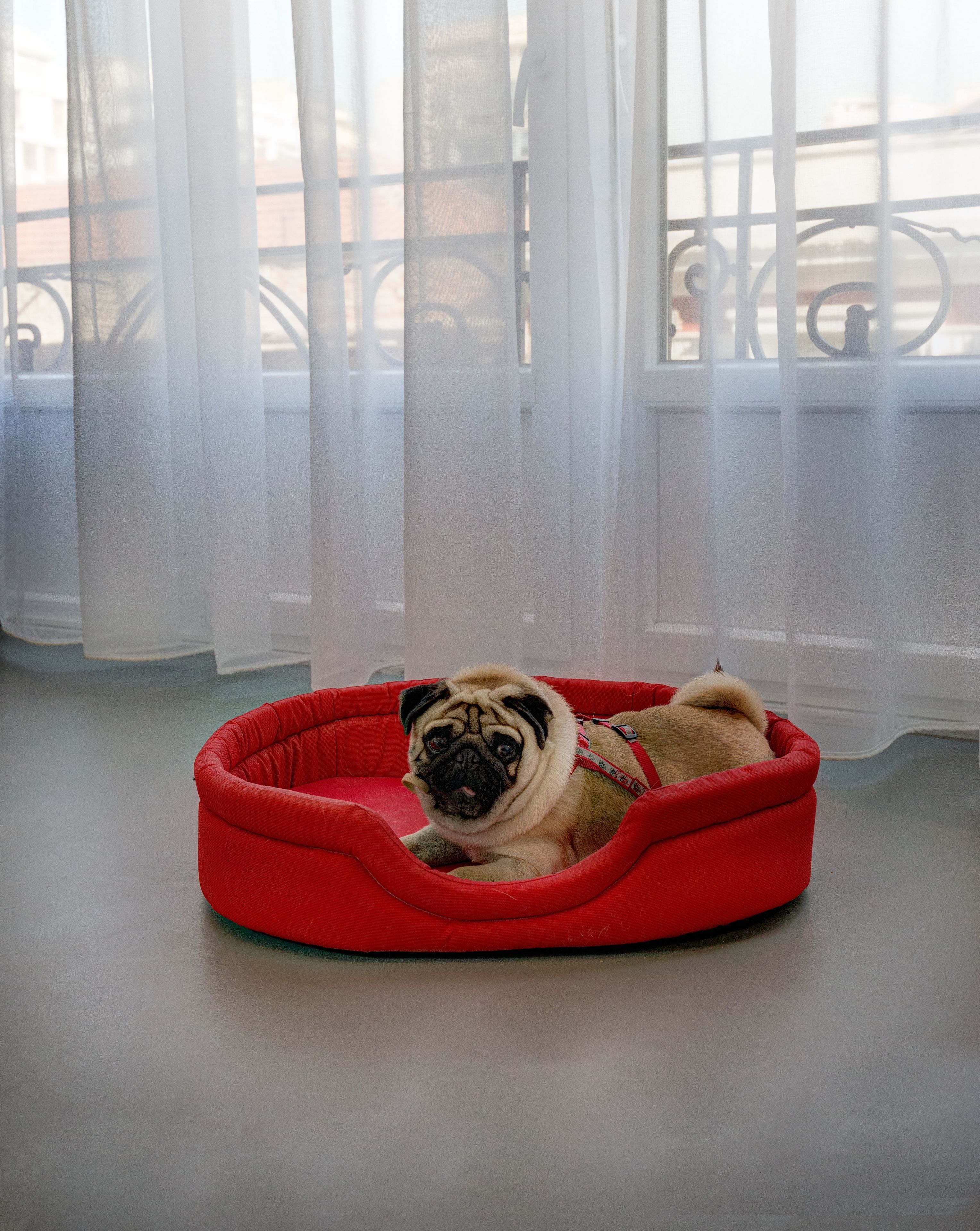 Photo - Colors Urban Hotel Thessaloniki