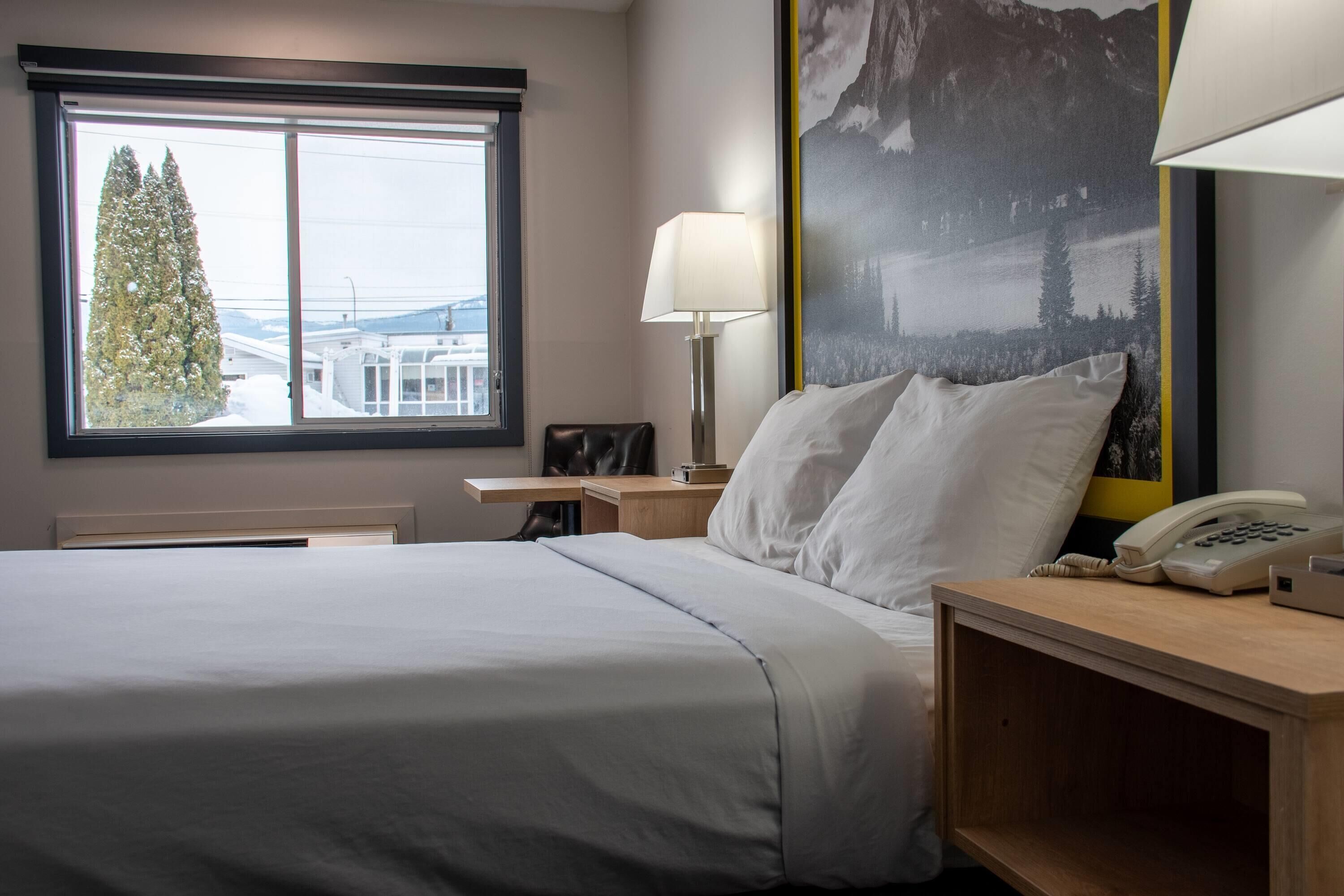 A hotel room with a bed, a nightstand with a lamp, a telephone, and a large window with a view of a tree and a building.