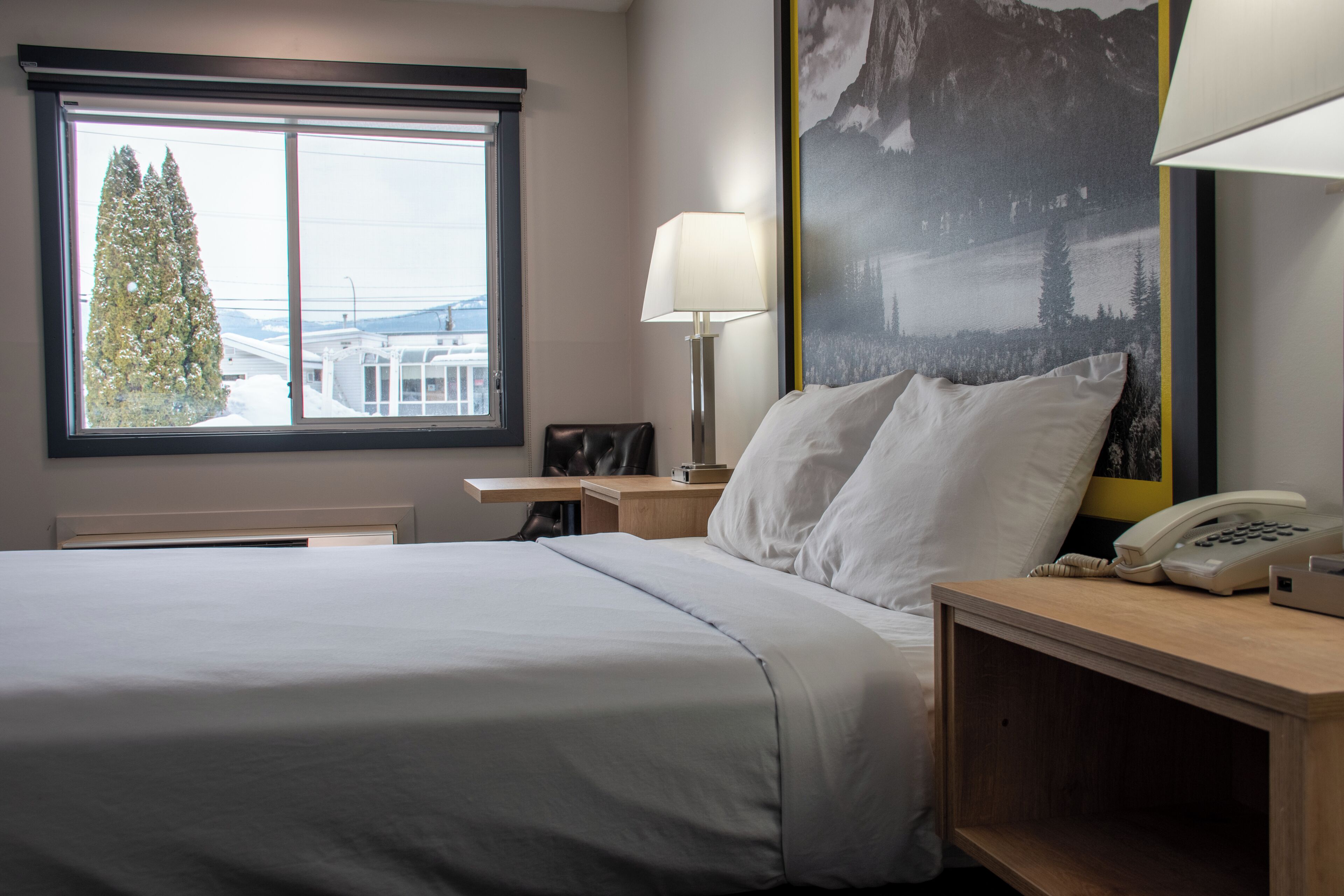 Une chambre d’hôtel comprenant un lit, une table de chevet avec une lampe, un téléphone, une fenêtre donnant sur un arbre et un immeuble, et un mur orné d’une affiche représentant un paysage de montagne.