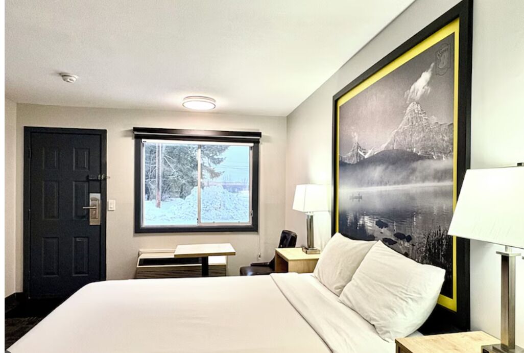 Une chambre d’hôtel avec un lit, un bureau, une chaise, une fenêtre donnant sur des arbres et un tableau encadré au mur.