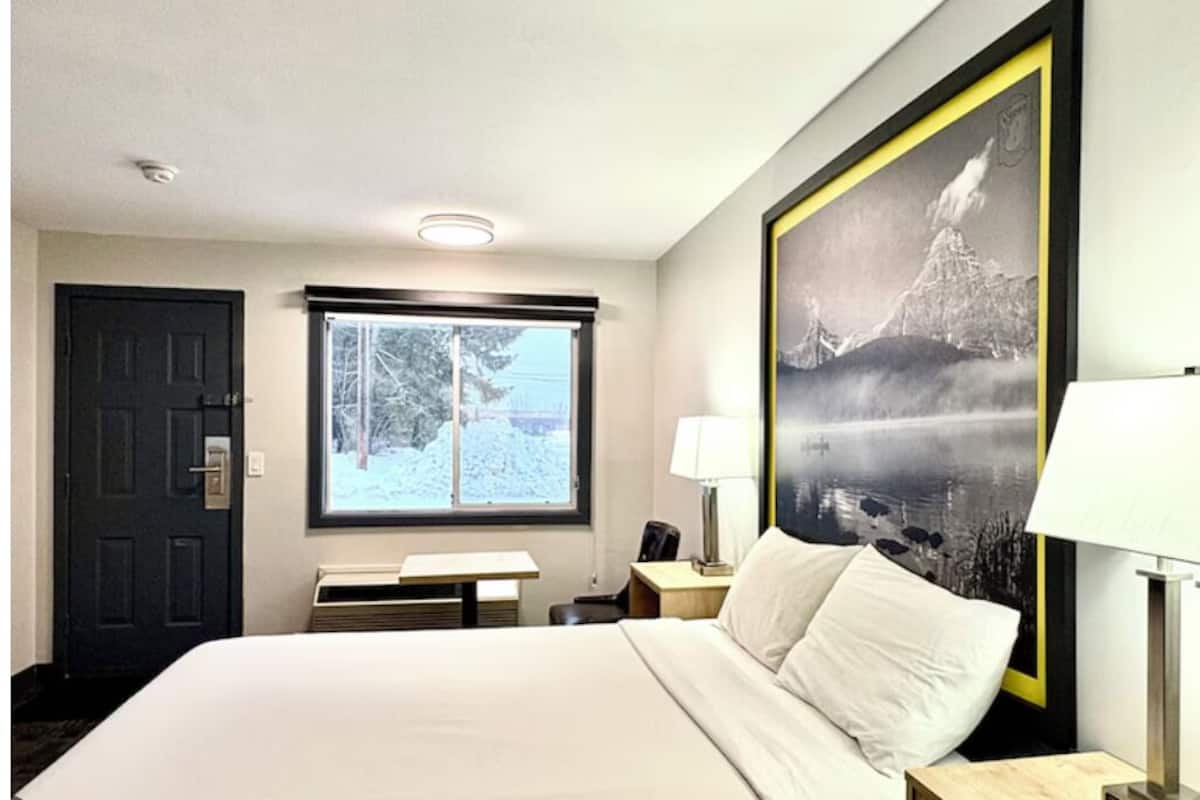 A hotel room with a bed, a desk, a chair, a window with a view of trees, and a framed picture on the wall.