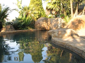 A tranquil outdoor pool area with natural rock formations and lush greenery. - Acacia House Executive Suite (Sandton)