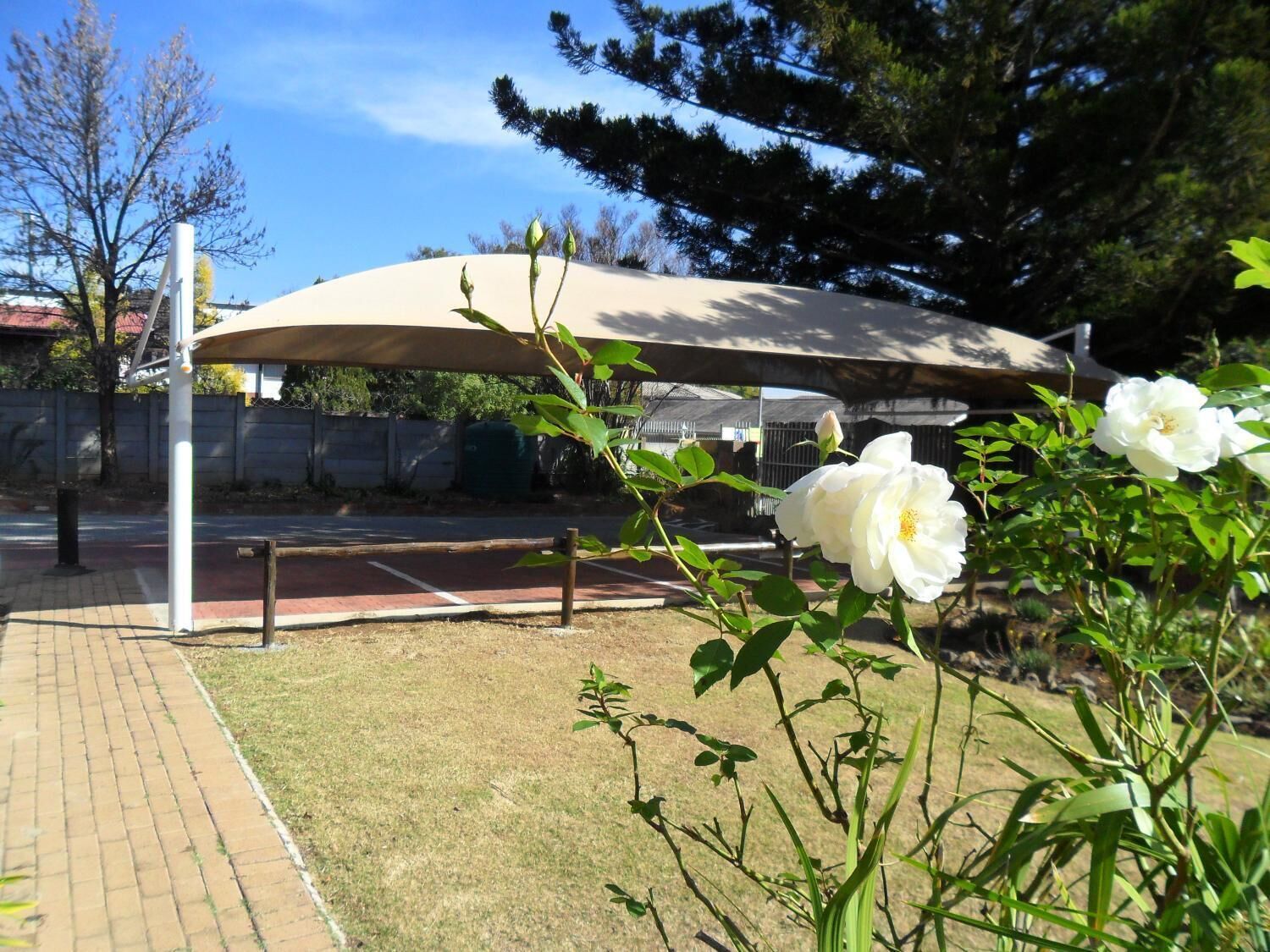 A covered outdoor area with a paved walkway, a bench, and a flower bed with white flowers.