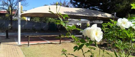 A covered outdoor area with a paved walkway, a bench, and a flower bed with white flowers.